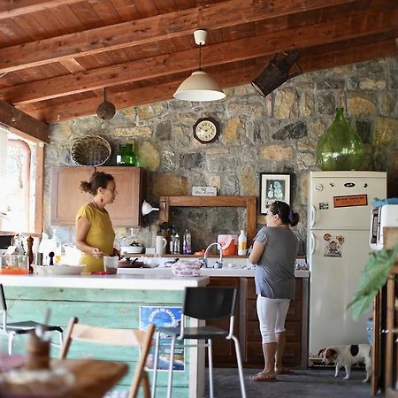B&B Casa Dei Nonni 斯卡里奥 外观 照片