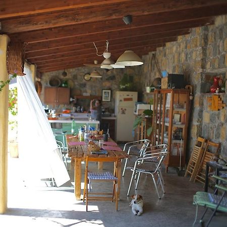 B&B Casa Dei Nonni 斯卡里奥 外观 照片
